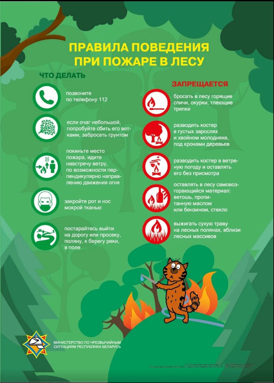 Безопасность жизнедеятельности - Детский сад № 37 г.Гродно